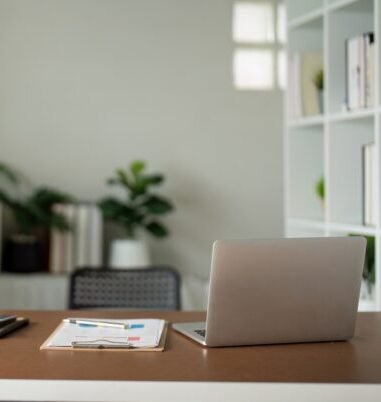 Empty workplace with desk and plant in office room, copy space. work from an atmospheric home